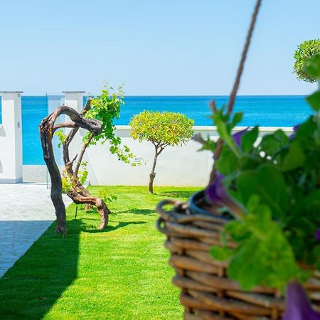 Mbaccimari B&B Cetraro Ngoại thất bức ảnh