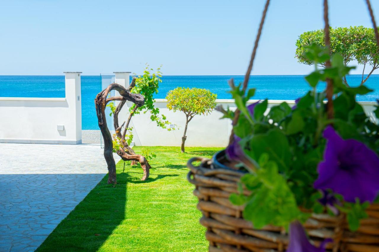 Mbaccimari B&B Cetraro Ngoại thất bức ảnh