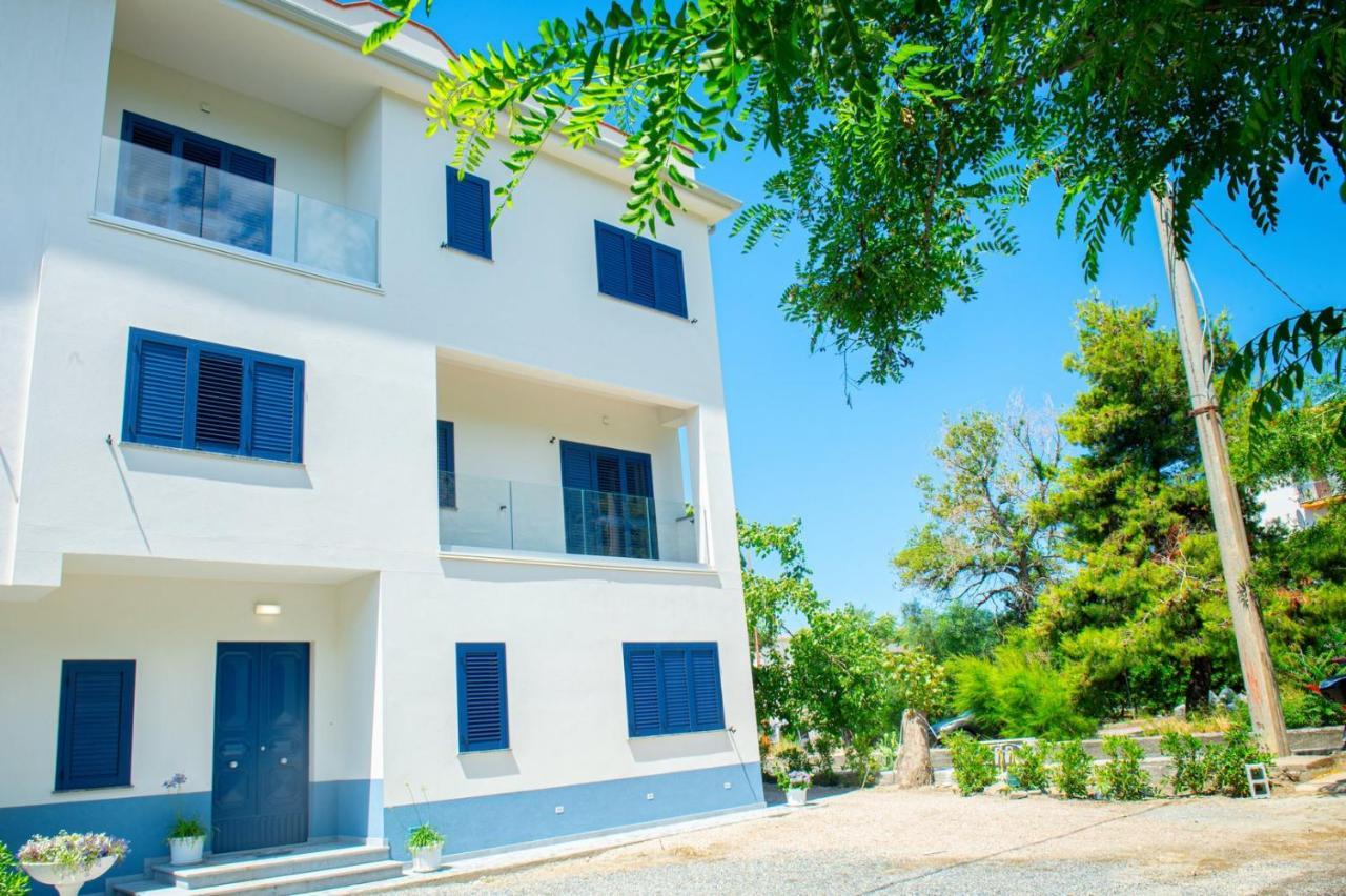 Mbaccimari B&B Cetraro Ngoại thất bức ảnh